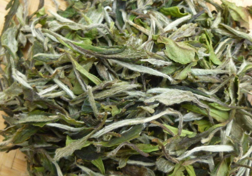白牡丹茶保质期多久 怎么保存
