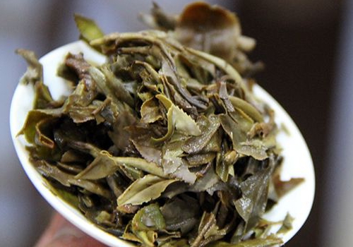 白牡丹茶什么时候喝好 怎么选购