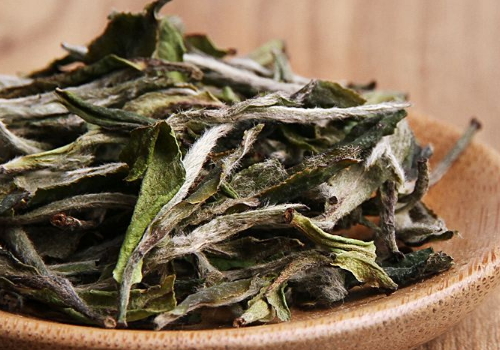 白牡丹茶什么人不适合喝 和寿眉的区别
