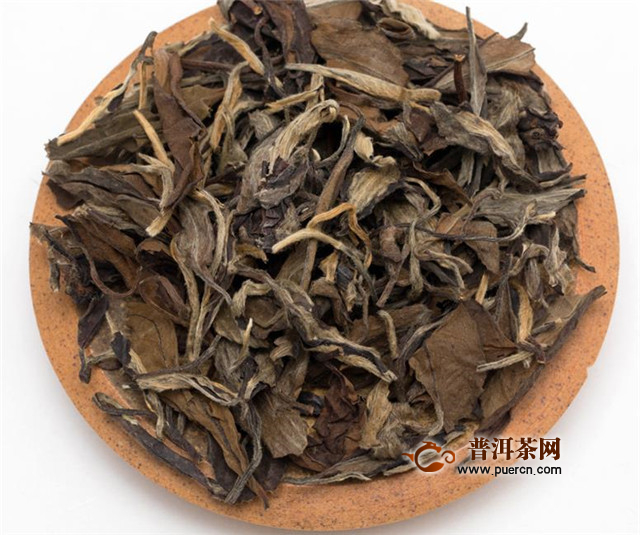 白牡丹的功效和作用，白牡丹能减肥吗？