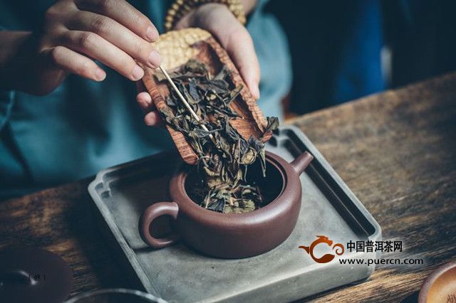 老寿眉怎么泡？正确冲泡老寿眉茶的方法