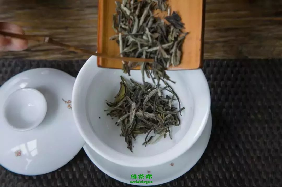 寿眉和贡眉的区别 先有的贡眉还是寿眉？