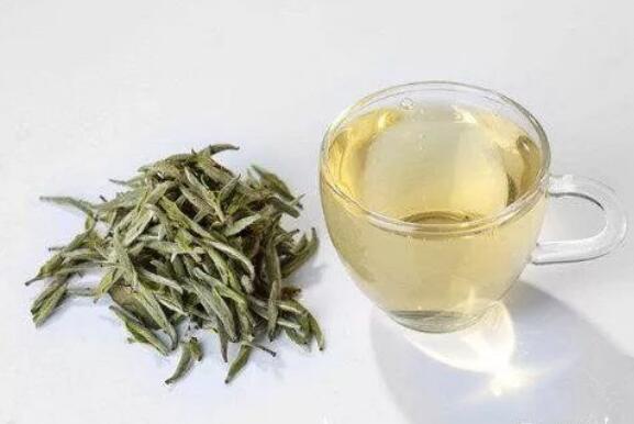 新白茶的功效与作用 喝新白茶的好处