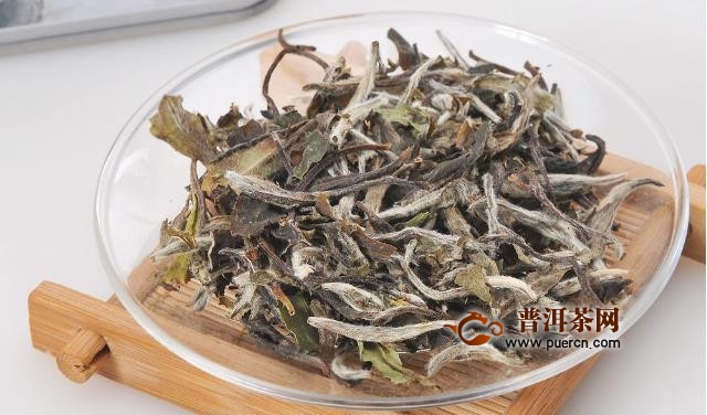 新白茶的冲泡时间