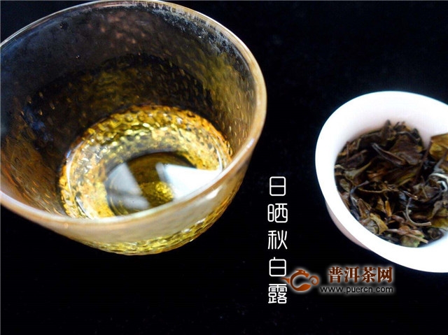 新白茶的正确喝法