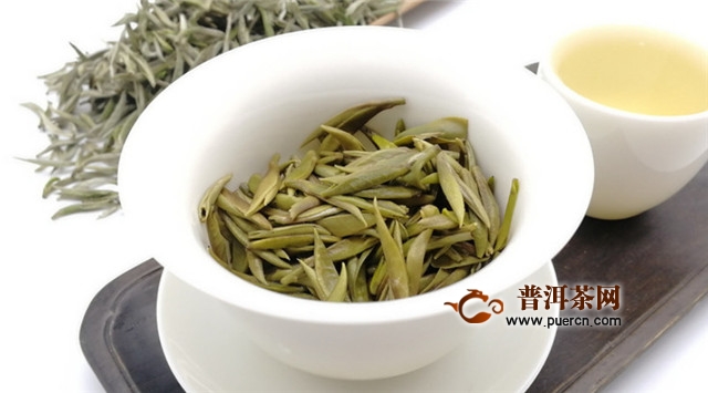 新白茶的冲泡方法和冲泡注意事项