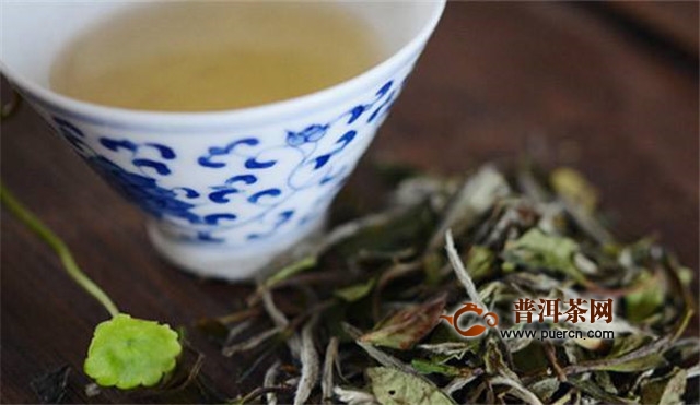 新白茶冲泡需要注意什么？
