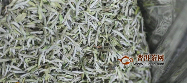 新白茶怎么泡？