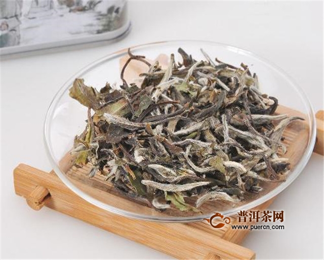 新白茶的功效与作用是什么