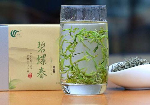 碧螺春和铁观音哪个好  有什么区别