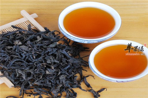 大红袍茶的泡制方法以及功效