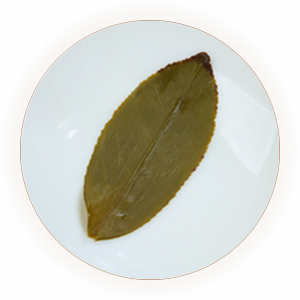 黄金桂：有桂花奇香的透天香