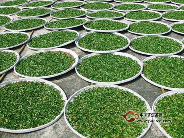 如何制作东方美人茶