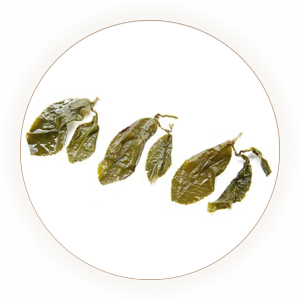 冻顶乌龙：茶中圣品