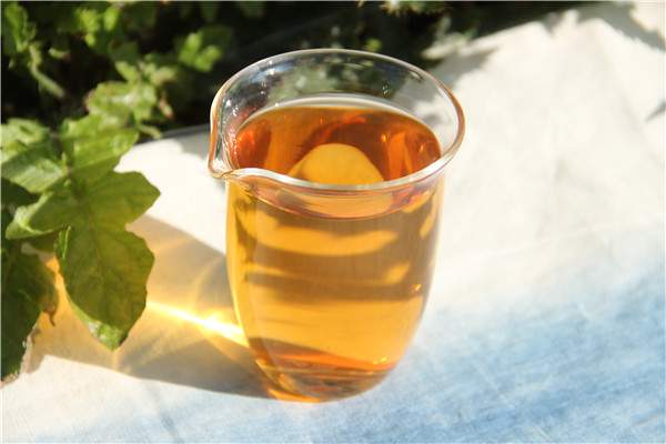 重识安溪乌龙茶：大叶乌龙、梅占