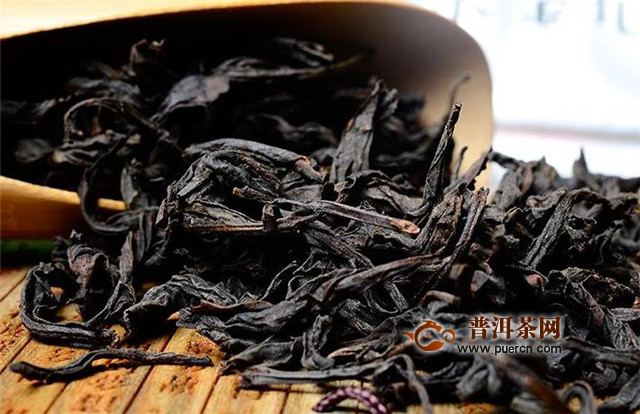 武夷山水金龟是什么茶？岩茶"四大名丛"之一