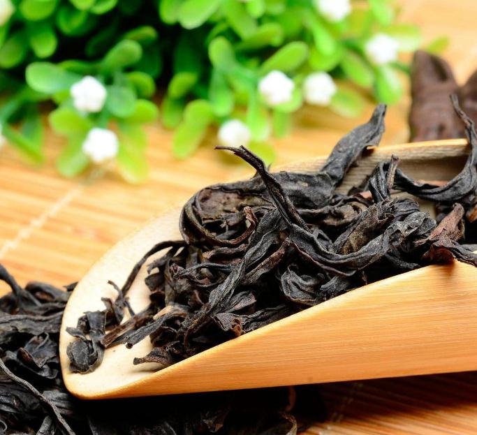 水金龟属于什么茶 水金龟茶的功效与作用及特点