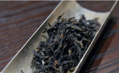 水金龟属于什么茶 “不可思议”的水金龟！