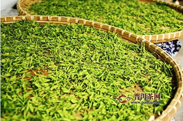 白鸡冠茶加工工艺步骤