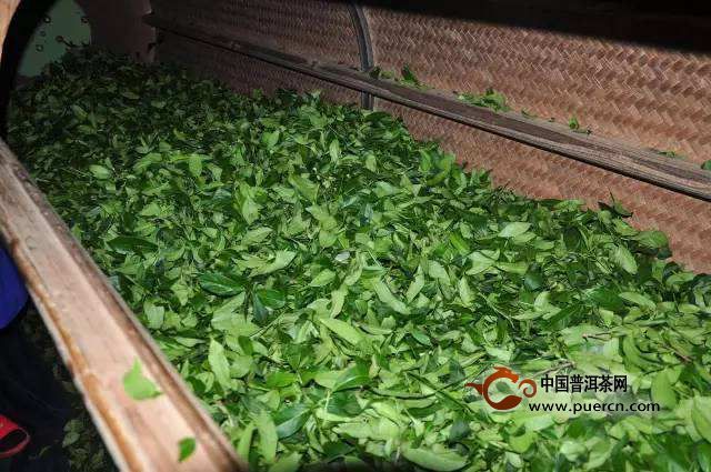 文山包种茶的加工工序