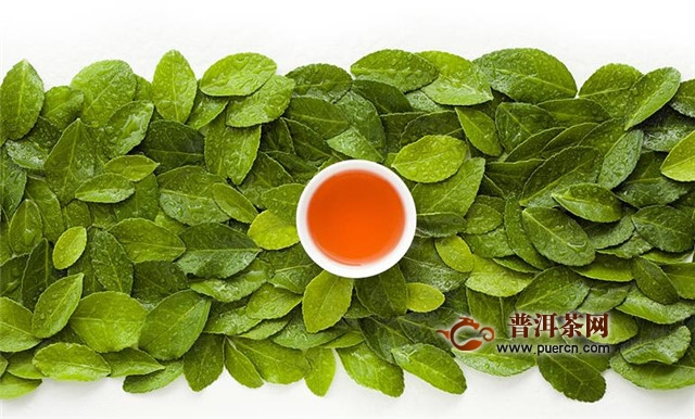 英德红茶有哪几个名牌？英德红茶十大品牌推荐