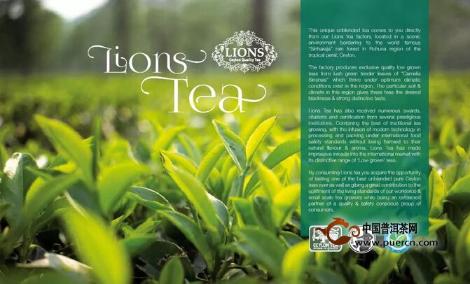 世界奇茶品鉴”——斯里兰卡红茶