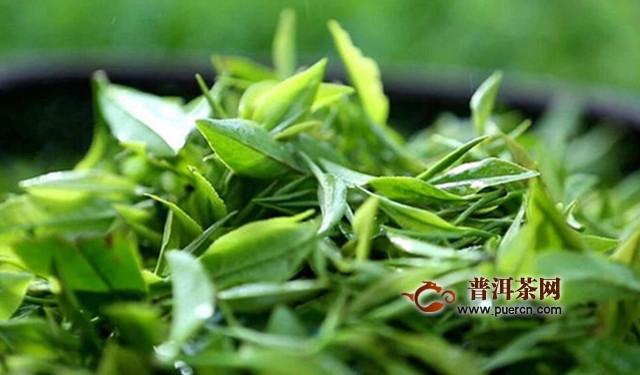 坦洋工夫茶叶属于什么茶