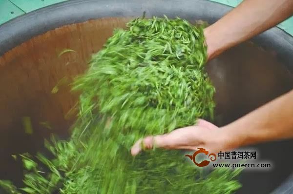 银骏眉属于什么茶