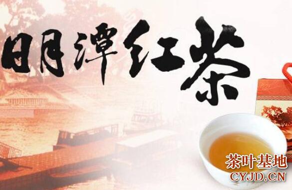 日月潭红茶是什么茶，日月潭红茶的品质特征