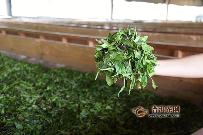 政和工夫茶制作工艺流程