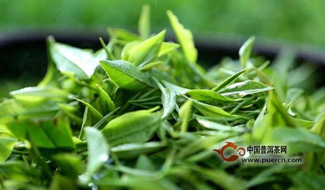 宁红工夫茶历史渊源