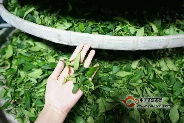 白琳工夫红茶加工技术