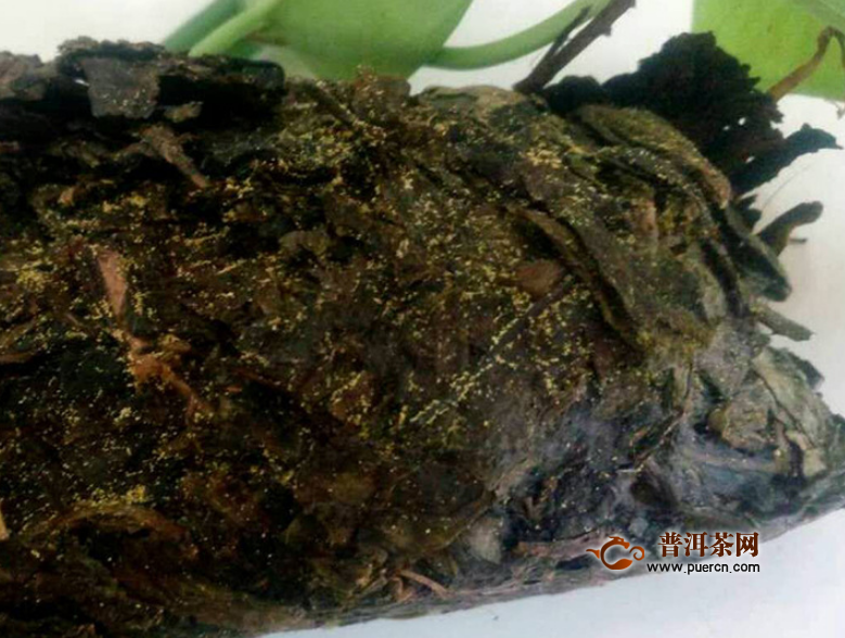 青砖茶怎么泡？青砖茶怎么喝？