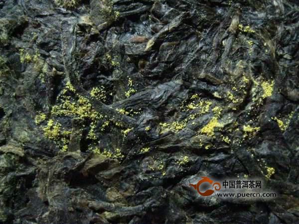 如何鉴别金花砖茶 砖茶里的金花可能是玉米粉