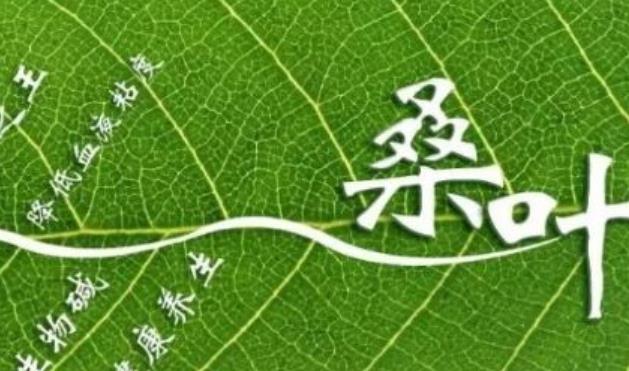 花砖茶的产地（起源！）