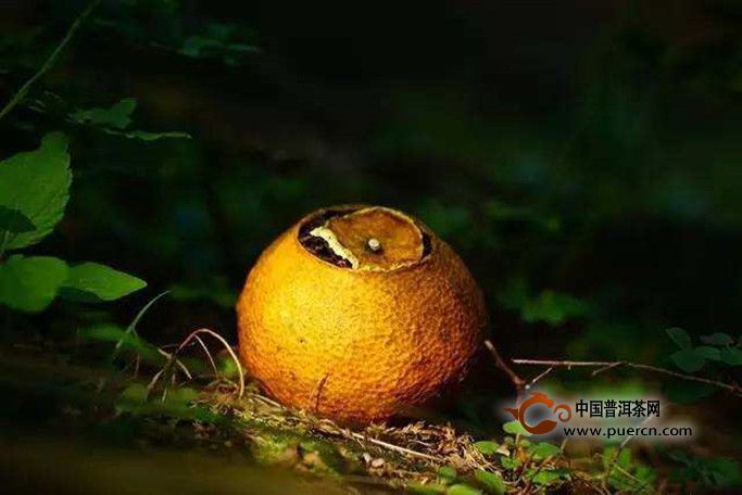 大红柑普洱茶怎么泡