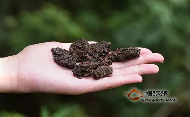 什么是老茶头？如何鉴别老茶头的品质？