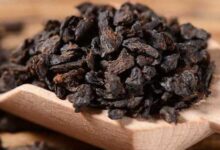 碎银子茶怎么泡才好喝 碎银子茶的正确泡法-茗扬网