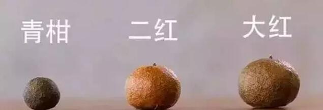 小青柑还是大红柑？怎么选择适合自己的柑普茶呢？