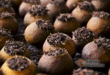 新会柑普茶怎么挑选-茗扬网