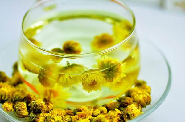 胎菊花茶可以每天喝吗