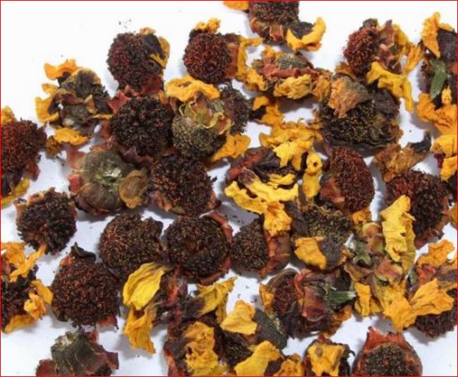 雪菊花茶的功效和形态特征