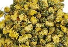 胎菊花茶的功效与禁忌是什么呢