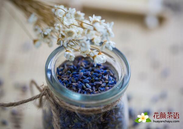 薰衣草花茶的泡法 祛痘去痘印美容效果好