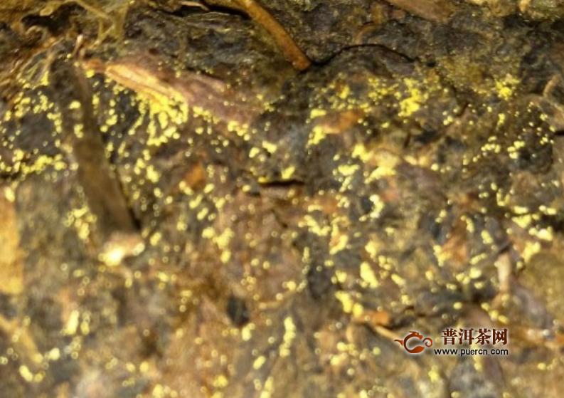 喝金花茶有什么好处？金花茶——集口感功效于一体！