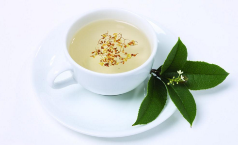 桂花茶适合什么季节喝 饭前喝好还是饭后喝好