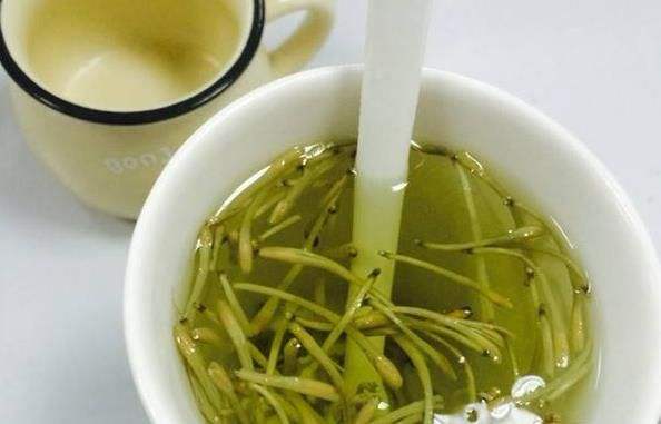 金银花泡水喝的功效