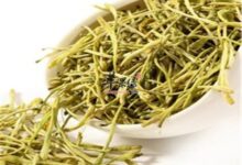 金银花泡水的三大禁忌-茗扬网