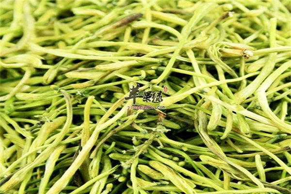 金银花茶的四大功效