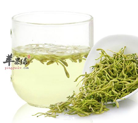 喝金银花茶能预防口臭疾病吗